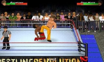game pic for Wrestling Revolution